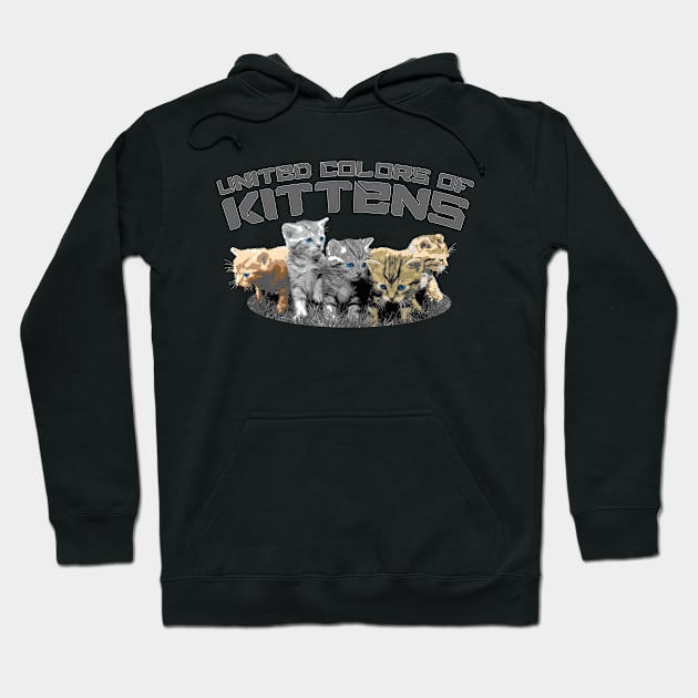 United Colors Of Kittens Hoodie by Ultra Silvafine